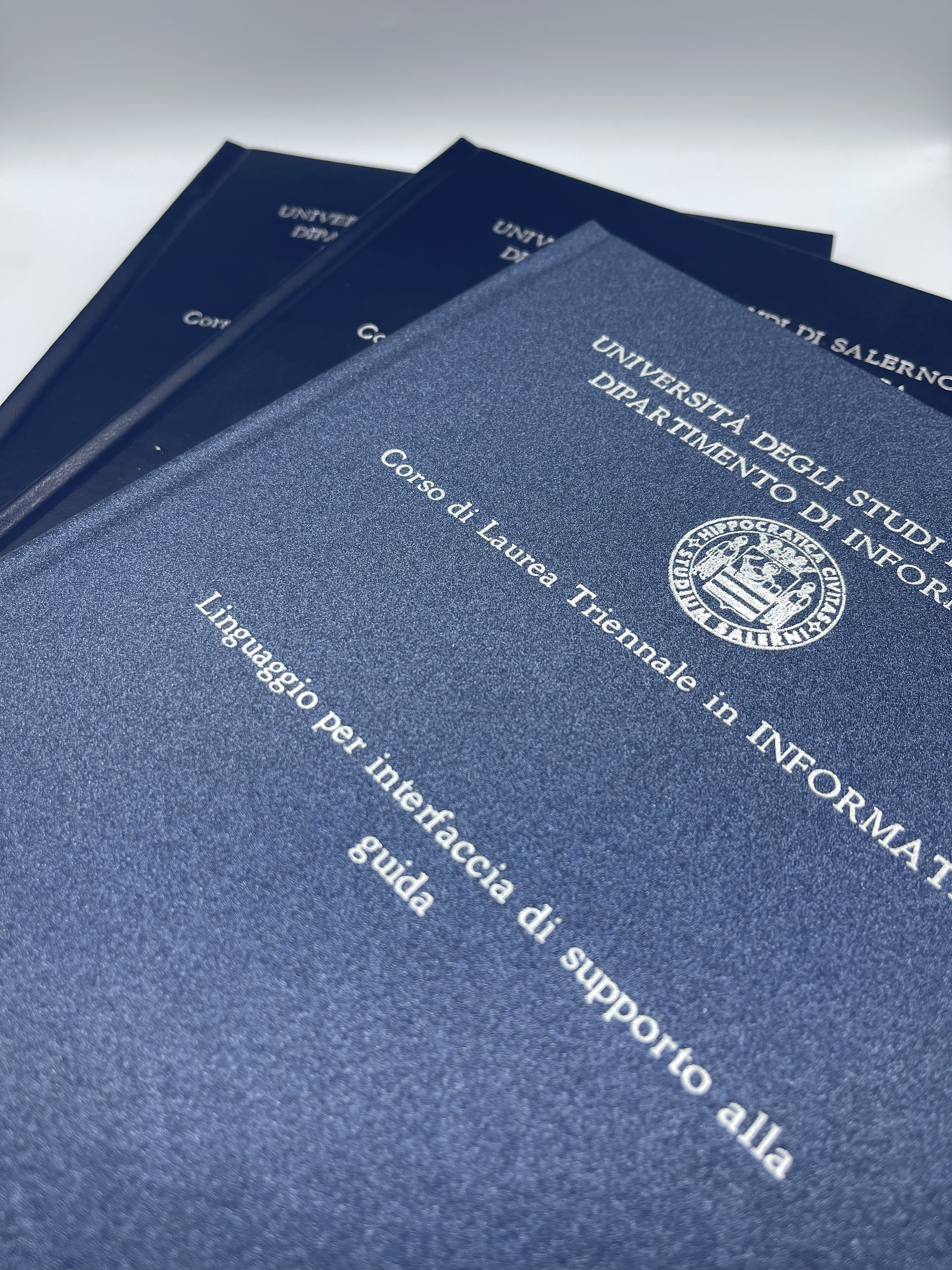 Linguaggio per interfaccia di supporto alla guida