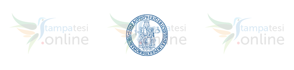 Stampa e rilegatura tesi online Universita' degli Studi di Napoli Federico II UNINA