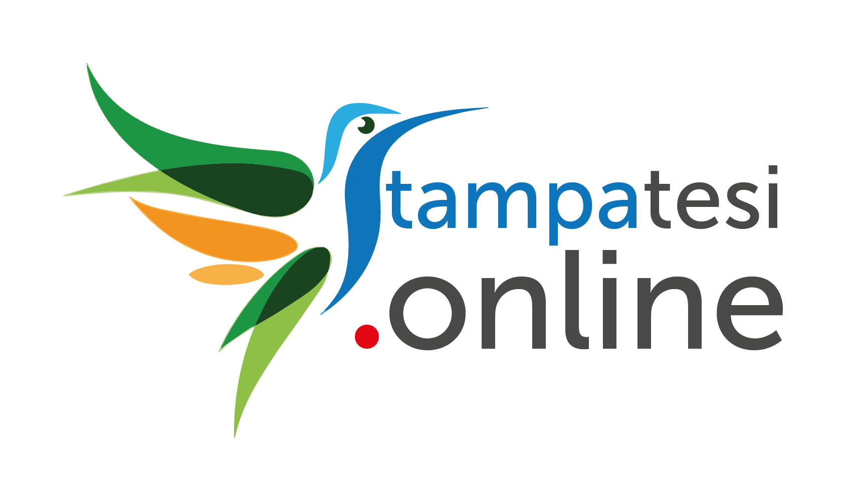 Stampa Tesi.Online